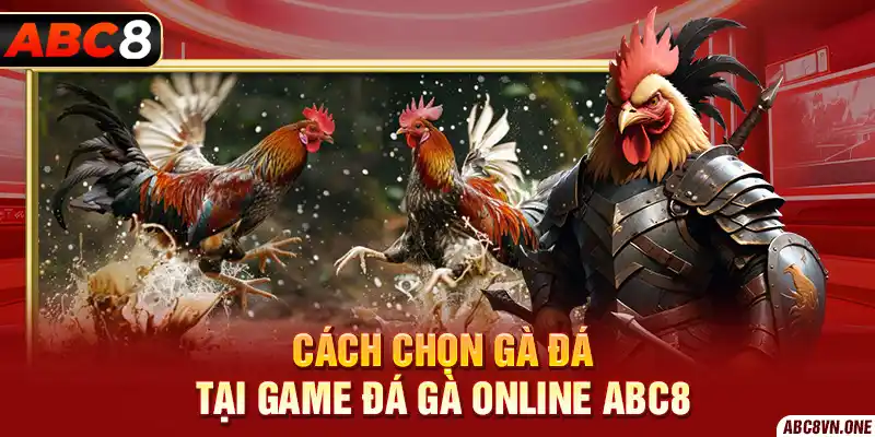 Cách chọn gà đá tại game đá gà online ABC8