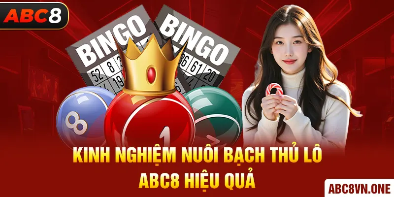 Kinh nghiệm nuôi Bạch Thủ Lô ABC8 hiệu quả