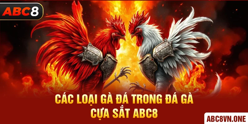 Các loại gà đá trong đá gà cựa sắt ABC8