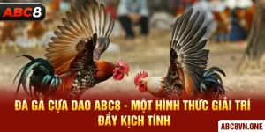 Đá Gà Cựa Dao ABC8 - Một Hình Thức Giải Trí Đầy Kịch Tính