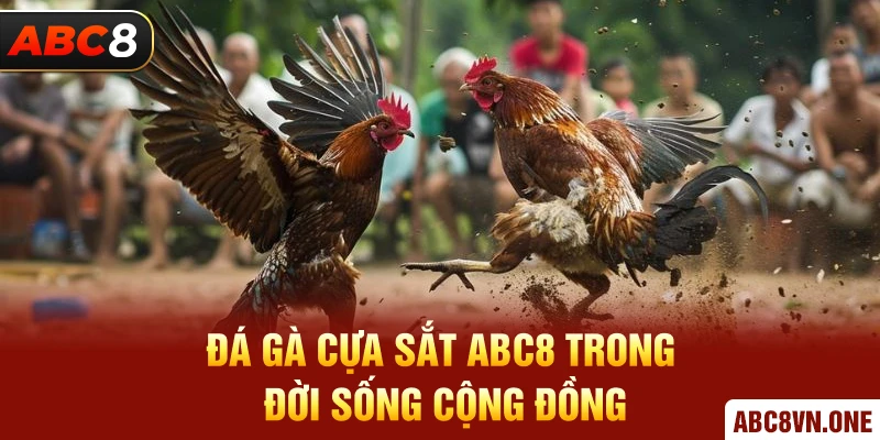 Đá Gà Cựa Sắt ABC8 trong đời sống cộng đồng