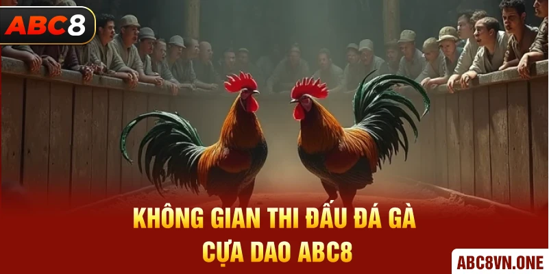 Không Gian Thi Đấu Đá Gà Cựa Dao ABC8