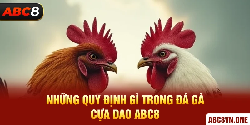 Những quy định gì trong đá gà cựa dao ABC8