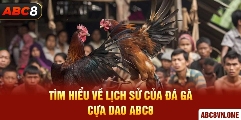 Tìm hiểu về lịch sử của Đá Gà Cựa Dao ABC8 