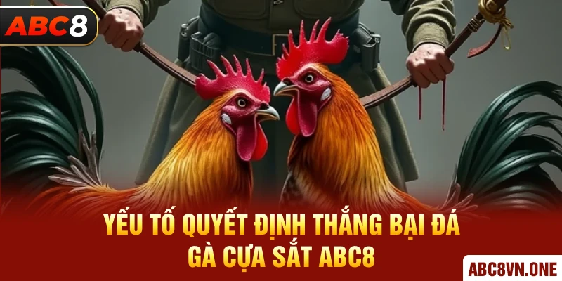 Yếu tố quyết định thắng bại đá gà cựa sắt ABC8